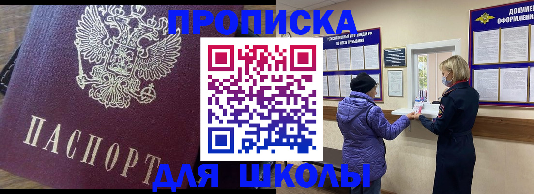 подбор собственника для регистрации в Балтийске